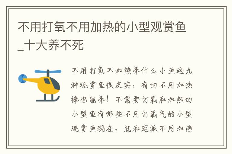 不用打氧不用加熱的小型觀賞魚_十大養不死
