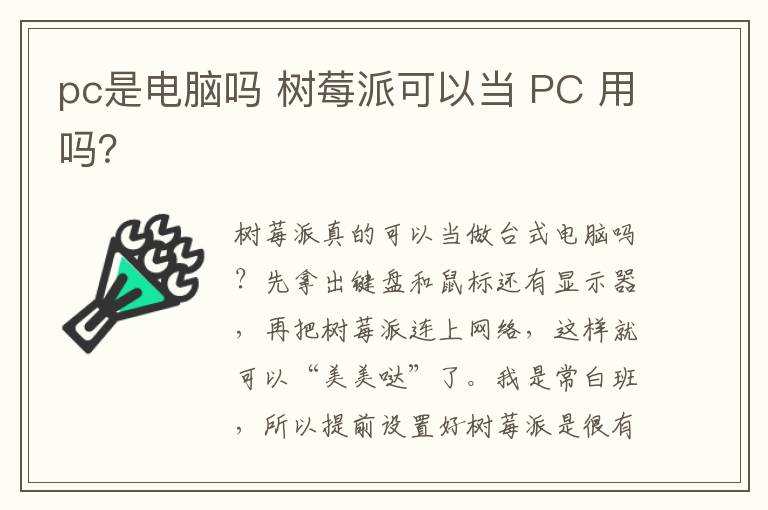 pc是電腦嗎 樹莓派可以當 PC 用嗎？