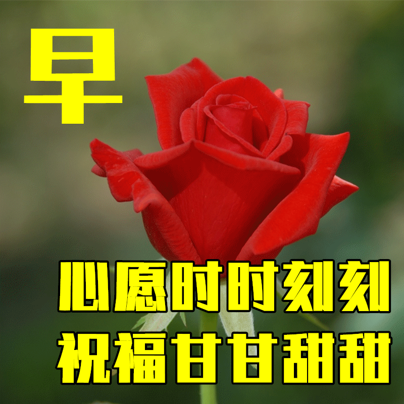 4月27日夏日問候暖心短句，2023特別