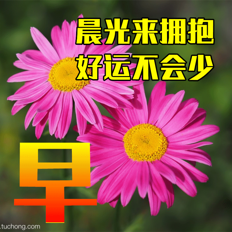 簡短早安暖心話短句_特別暖心的早安句子簡短_簡短暖句子早安心情短語