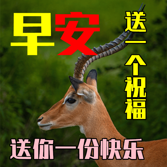 特別暖心的早安句子簡短_簡短早安暖心話短句_簡短暖句子早安心情短語