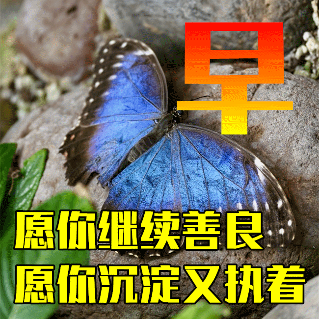 簡短早安暖心話短句_簡短暖句子早安心情短語_特別暖心的早安句子簡短