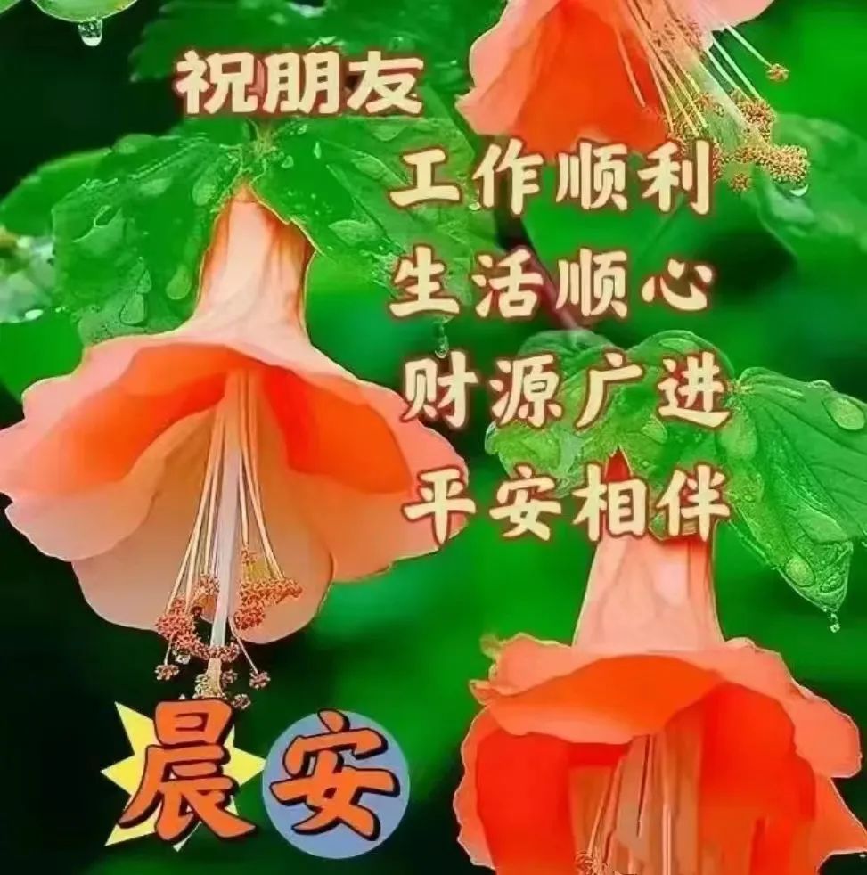 問(wèn)候早安心語(yǔ)短信_(tái)暖心早安問(wèn)候語(yǔ)簡(jiǎn)短_暖心早安問(wèn)候語(yǔ)