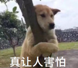 英語(yǔ)研究生考研科目有哪些_考研科目有英語(yǔ)嗎_英語(yǔ)考研科目有哪些科目