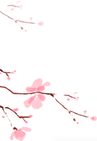 年級作文小小動物園350字_年級作文小小動物園400字_八年級小作文