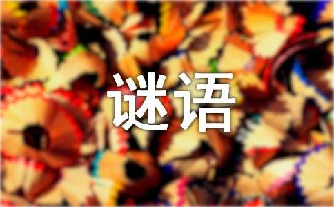 猜動物的謎語及答案