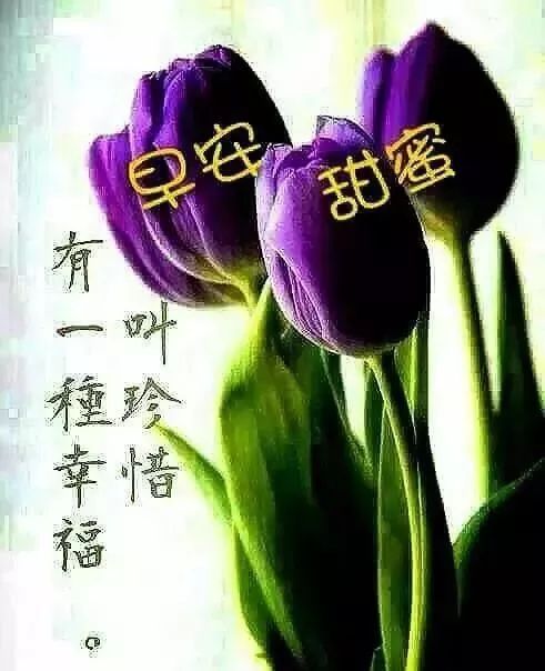早上好的問候美句簡短_問候早上好的唯美句子_問候語簡短最美的句子早上好