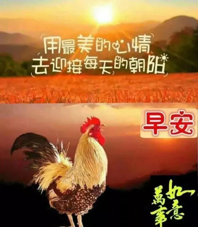 問候早上好的唯美句子_問候語簡短最美的句子早上好_早上好的問候美句簡短