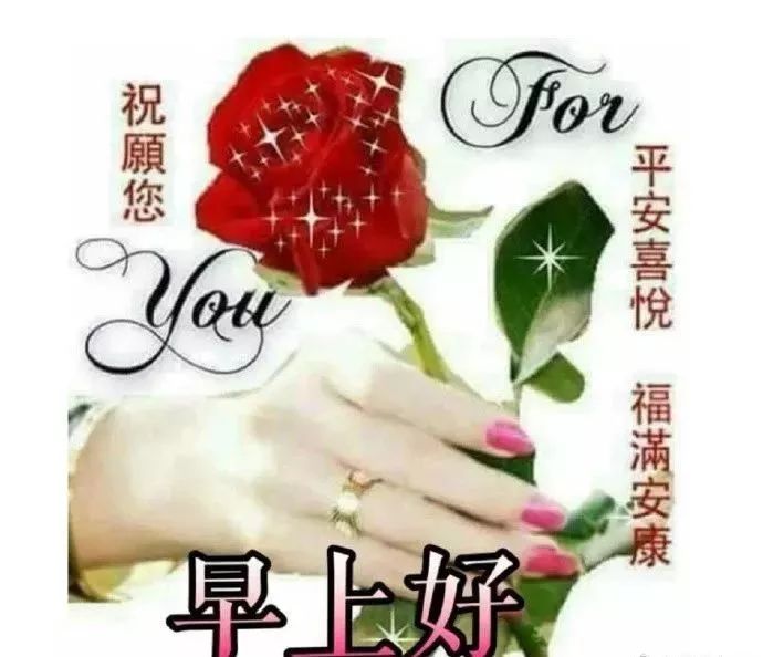 早上好的問候美句簡短_問候語簡短最美的句子早上好_問候早上好的唯美句子