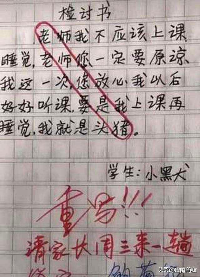 檢討書開頭范文_檢討書開頭_檢討開頭寫什么