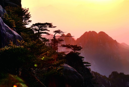 黃山游玩攻略日游費用多少錢_黃山游玩攻略日游費用多少_黃山游玩攻略一日游及費用