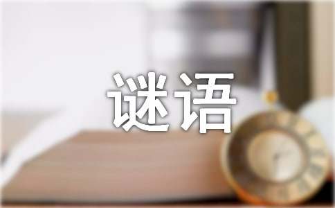 八月十五字謎語及謎底