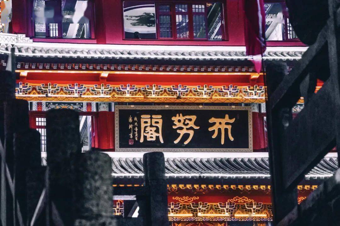 魚類攝影_觀賞魚攝影_拍魚的攝影師