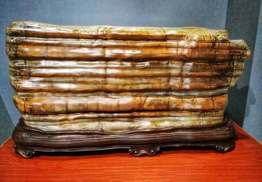 觀賞魚攝影_拍魚的攝影師_魚類攝影