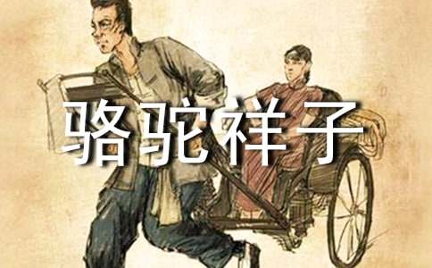 《駱駝祥子》讀后感