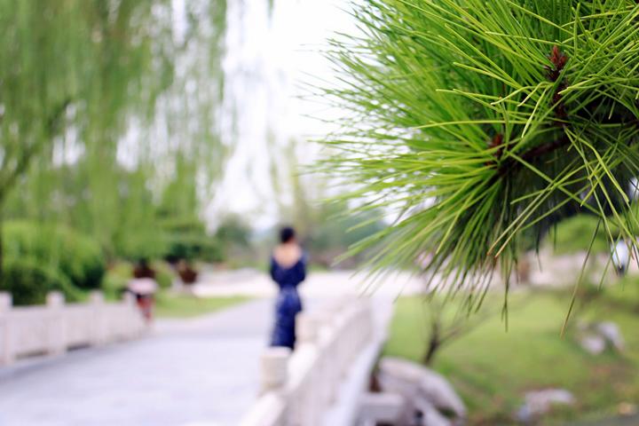 蘇州攻略旅游景點推薦_蘇州攻略旅游景點大全_十一蘇州旅游攻略