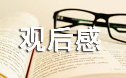 《飛馳人生》觀后感