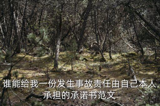 一切后果自行承擔(dān)的保證書(shū)，誰(shuí)能給我一份發(fā)