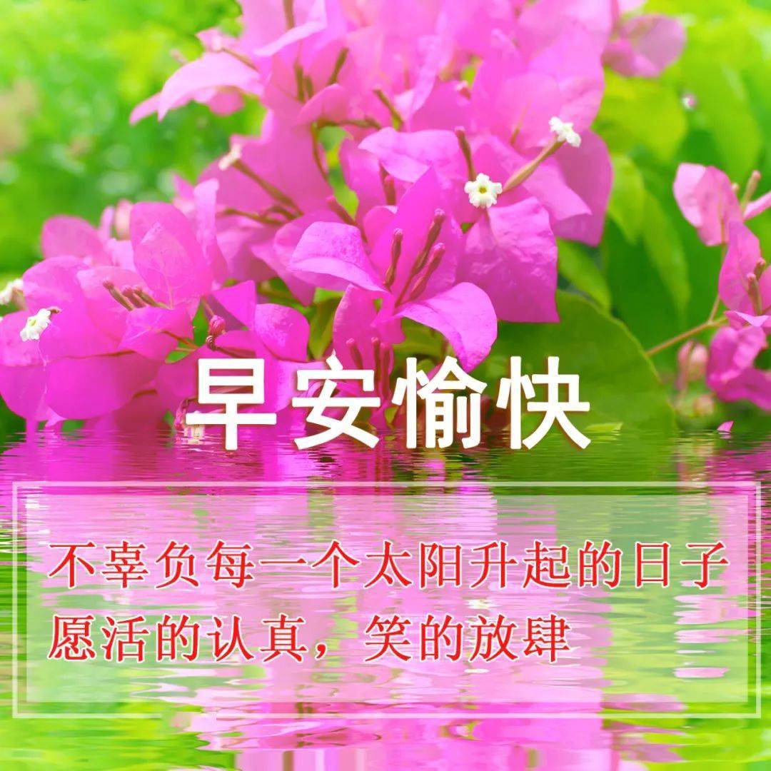問候語早上問候語_問候早上語句_每日早上好問候的短句