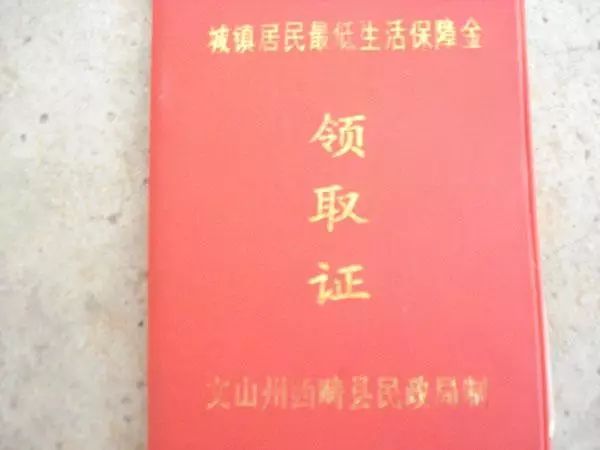 貧困申請(qǐng)寫(xiě)書(shū)家庭學(xué)生怎么填_貧困申請(qǐng)寫(xiě)書(shū)家庭學(xué)生怎么寫(xiě)_如何寫(xiě)家庭貧困申請(qǐng)書(shū)學(xué)生