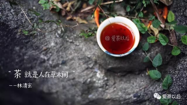 草木間茶葉禮盒價格_人在草木間打一字_人在草木間閱讀答案
