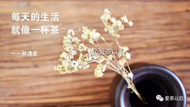草木間茶葉禮盒價格_人在草木間閱讀答案_人在草木間打一字