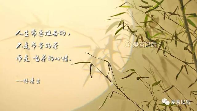 人在草木間閱讀答案_人在草木間打一字_草木間茶葉禮盒價格