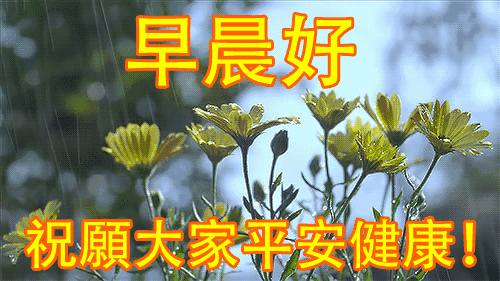 問候早安追語女孩子怎么說_追女孩子的早安問候語_問候早安追語女孩子的句子