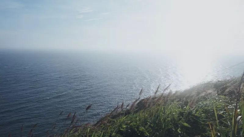 東極島搶票攻略_搶東極島船票_東極島票怎么買
