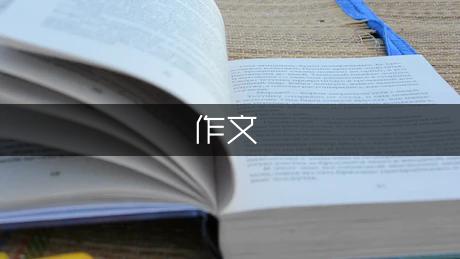 一次難忘的猜字謎初中作文650字