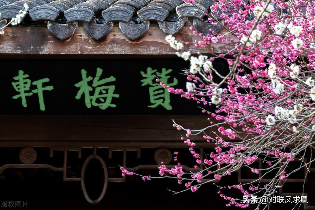 主懷安息與安息主懷有何區別_安息主懷對聯_安息主懷中
