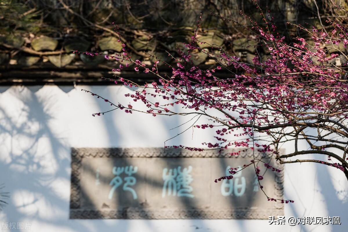 安息主懷對聯_主懷安息與安息主懷有何區別_安息主懷中