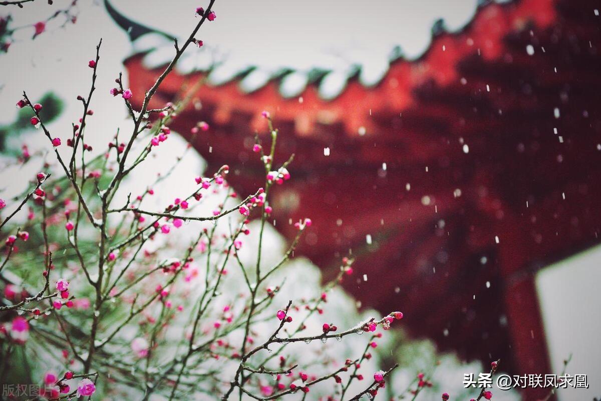 安息主懷對聯_安息主懷中_主懷安息與安息主懷有何區別