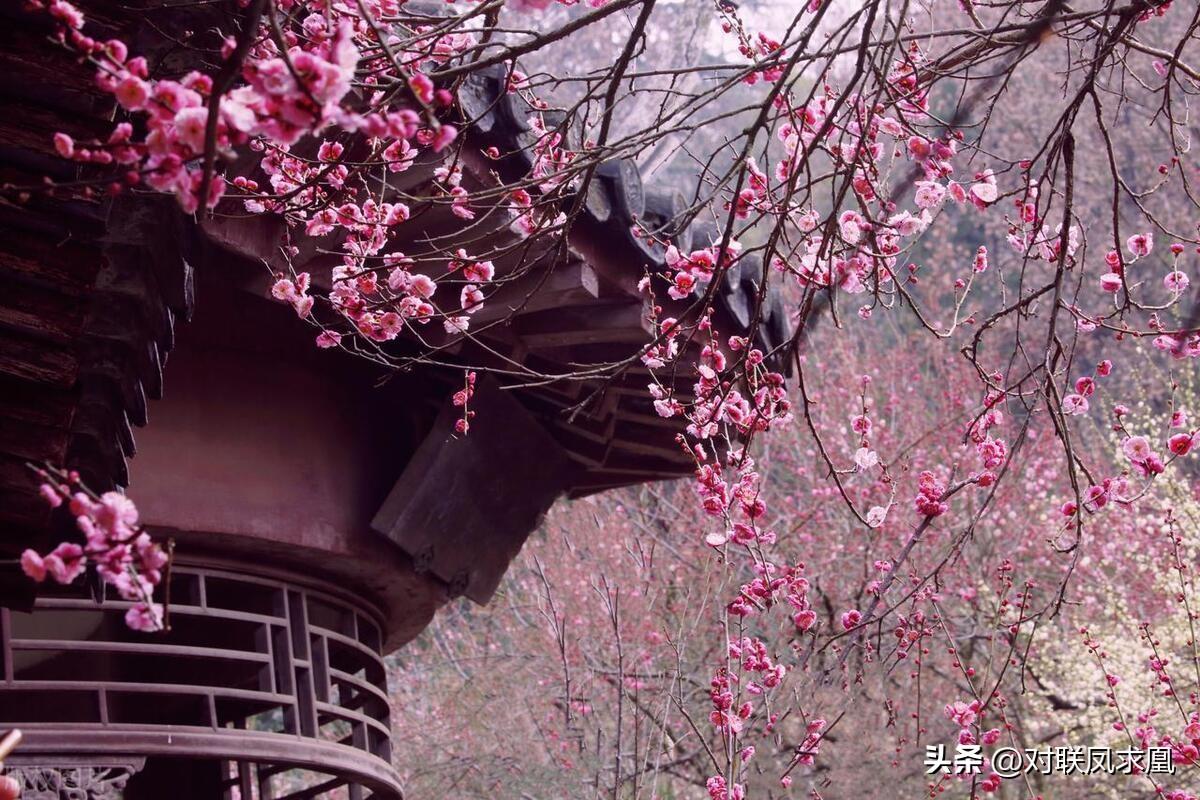 安息主懷對聯_主懷安息與安息主懷有何區別_安息主懷中