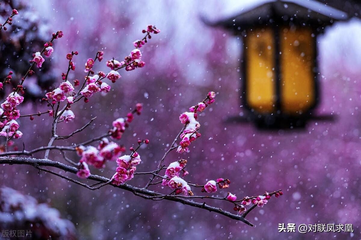 安息主懷對聯_主懷安息與安息主懷有何區別_安息主懷中