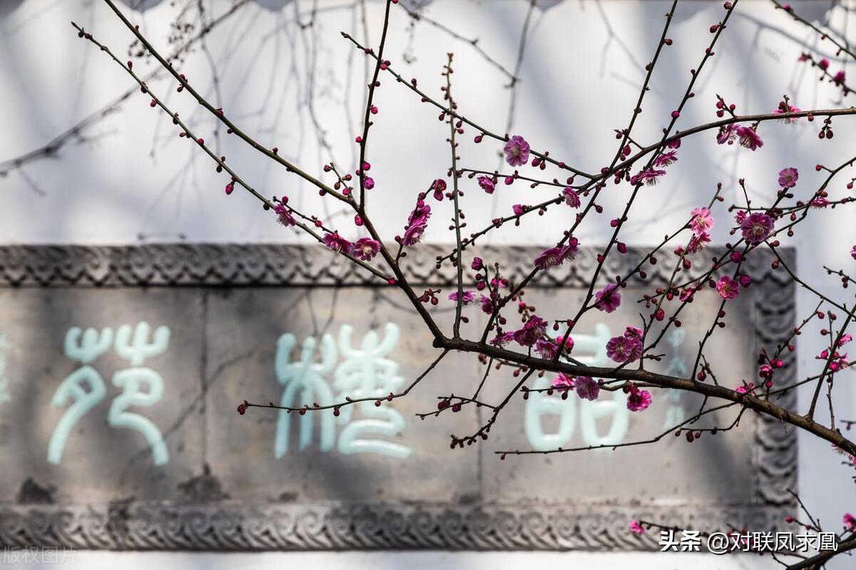 主懷安息與安息主懷有何區別_安息主懷中_安息主懷對聯