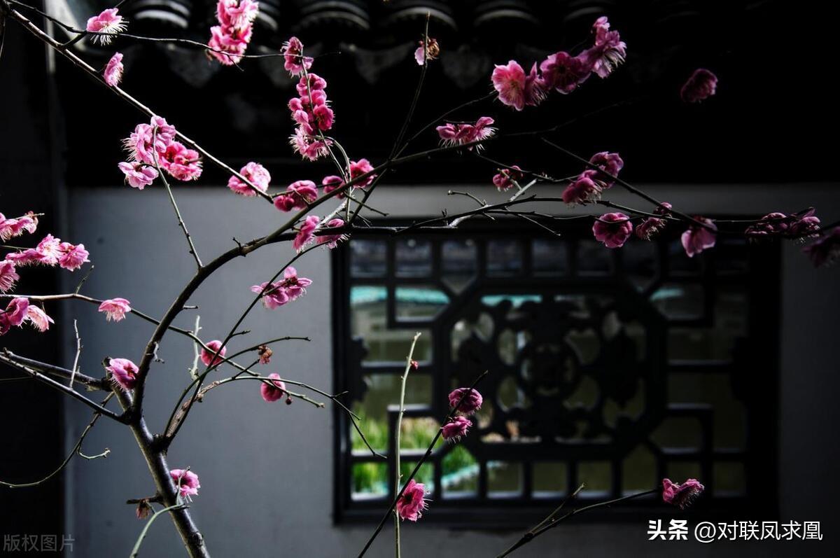 安息主懷對聯_主懷安息與安息主懷有何區別_安息主懷中