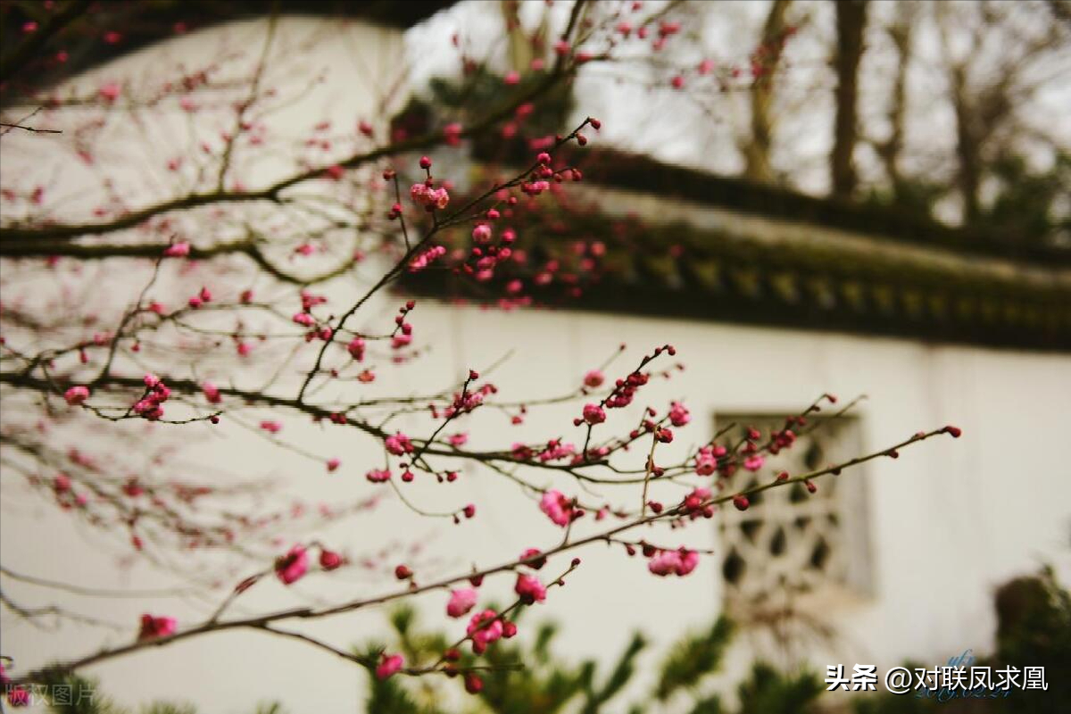 安息主懷中_主懷安息與安息主懷有何區別_安息主懷對聯