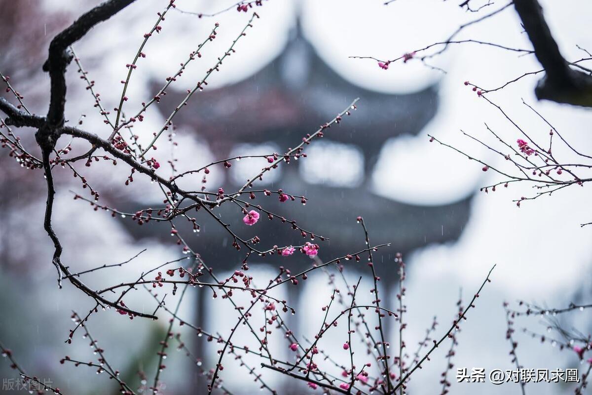 主懷安息與安息主懷有何區別_安息主懷對聯_安息主懷中