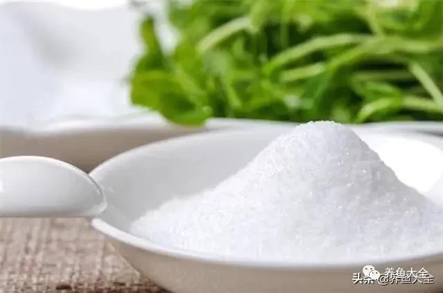 觀賞魚殺菌_給觀賞魚殺菌用什么比較好_觀賞魚殺菌鹽有用嗎