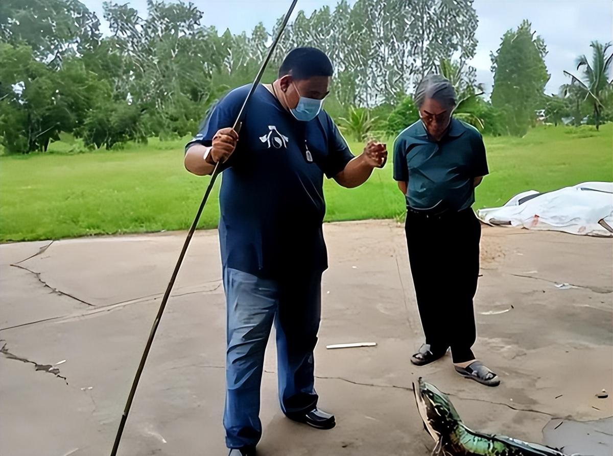中等體型觀賞魚_體型觀賞中等魚圖片_中等體型的觀賞魚