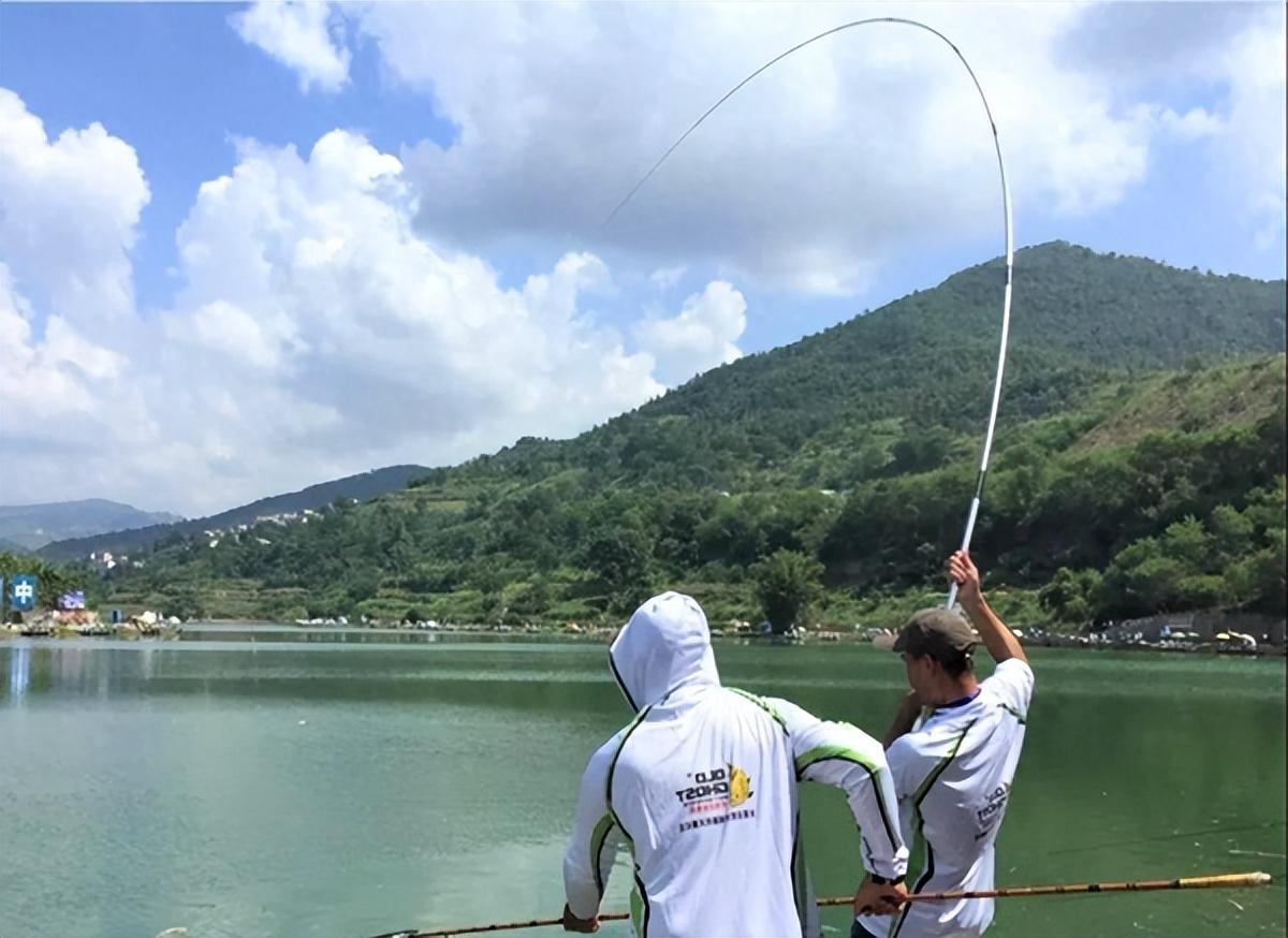 中等體型的觀賞魚_中等體型觀賞魚_體型觀賞中等魚圖片