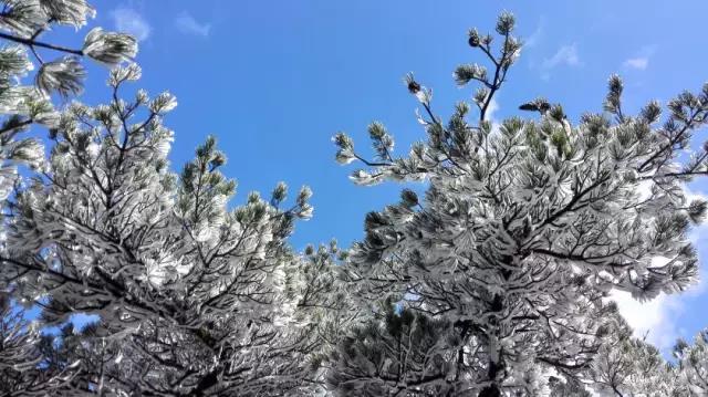 英德旅游攻略一日游_英德親子游攻略_英德旅游功略