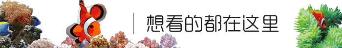 【干貨】還不知道海水觀賞魚的混養搭配？