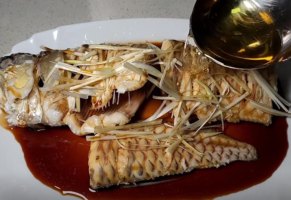 觀賞魚(yú)的龍魚(yú)價(jià)格是多少_觀賞魚(yú)龍魚(yú)價(jià)格_魚(yú)觀賞龍價(jià)格是多少