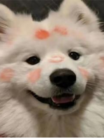祝福女孩生日語言_八歲生日祝福語女孩子_生日祝福女孩子