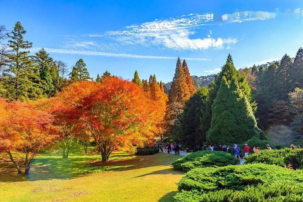廬山秋天有什么美景_廬山旅游最佳季節(jié)_廬山秋季旅游攻略