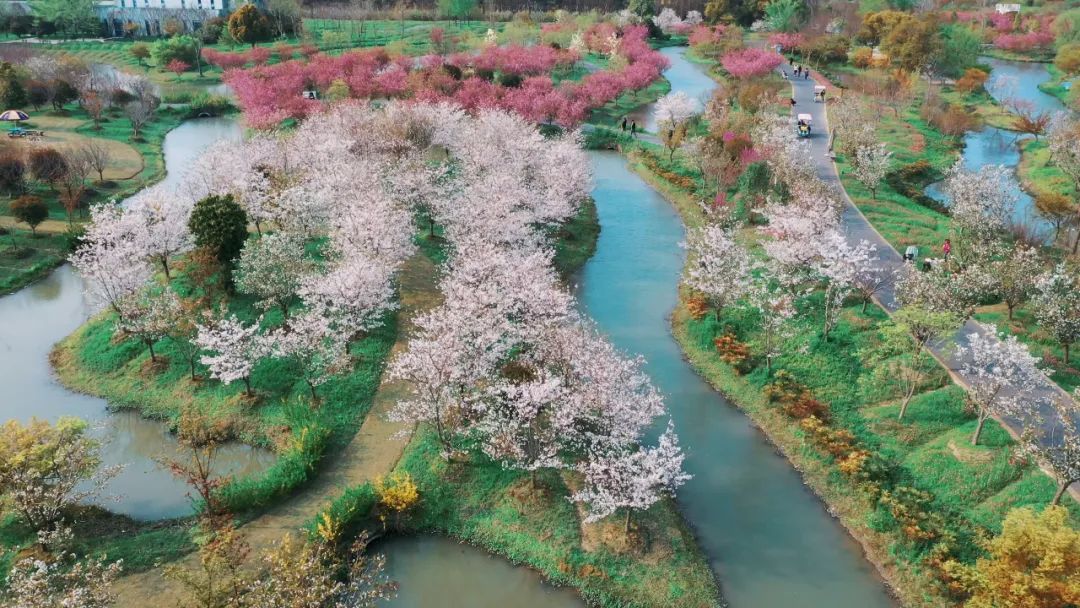 滴水湖2日游攻略_滴水湖游覽攻略_滴水湖二日游攻略