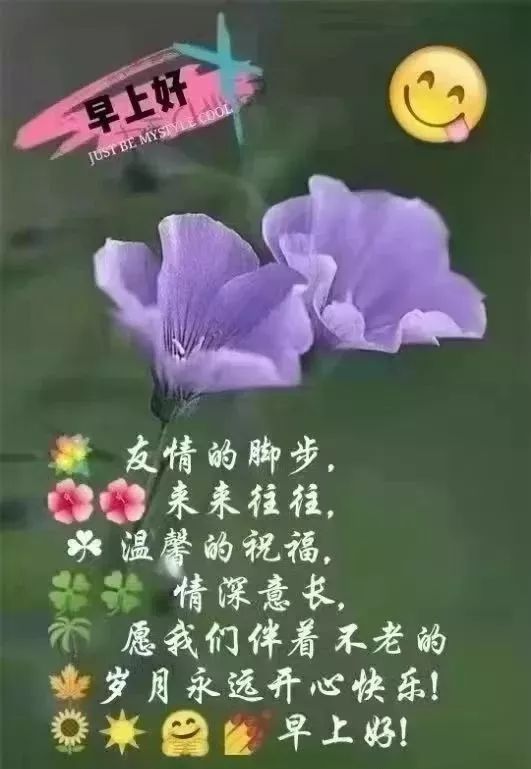 早上好最短的祝福語_早上祝福短浯_早上祝福的短語