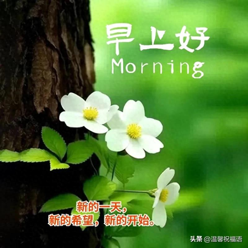 18句早上好問候語每日更新，正能量早安，很贊的短句